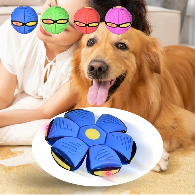 Bluegerry™ Doggy Flying Saucer Disc Ball
